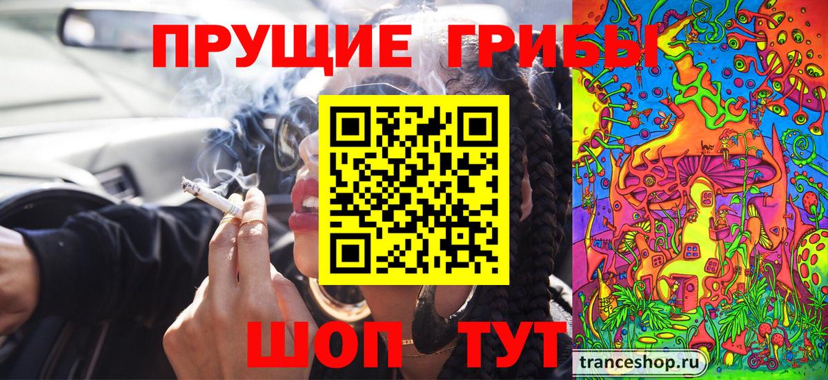 Галлюциногенные грибы Psilocybe  Галлюциногенные грибы Psilocybe  Вход с VPN  Одинцово 